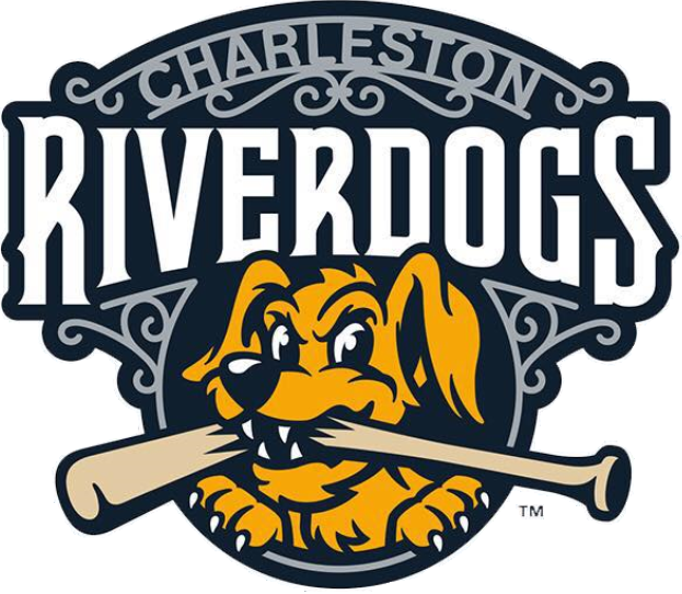 Charleston Riverdogs 2016-Pres Primary Logo iron on transfers for T-shirts
